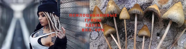 ГАЛЛЮЦИНОГЕННЫЕ ГРИБЫ Надым