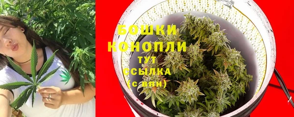 ГАЛЛЮЦИНОГЕННЫЕ ГРИБЫ Надым