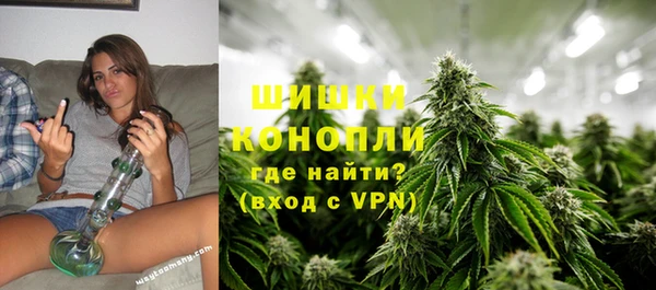 ГАЛЛЮЦИНОГЕННЫЕ ГРИБЫ Надым
