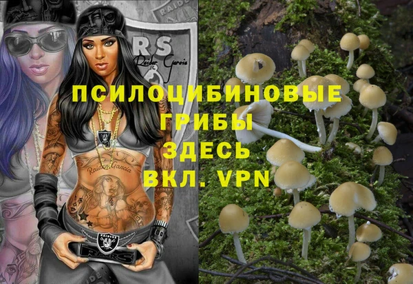 дживик Нефтекумск