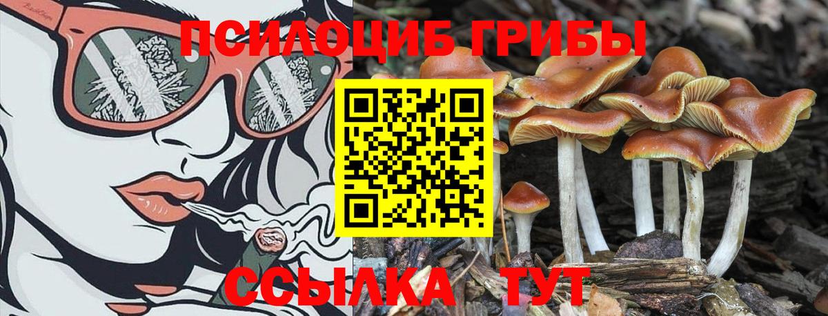 Метамфетамин  Альфа ПВП  LSD-25  Меф  Гашик  Кетыч  Донской  COCAIN  Вход с VPN  Герыч  Каннабис 