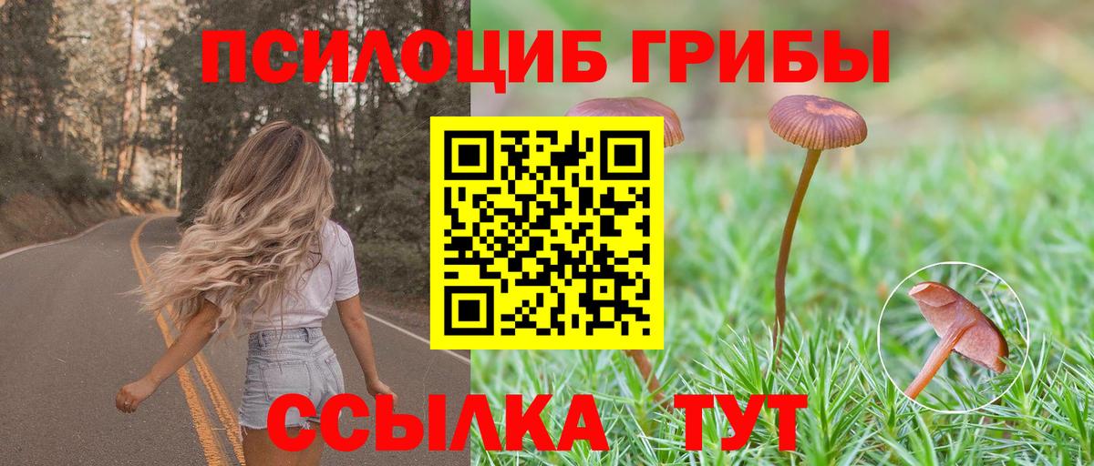 Псилоцибиновые грибы Psilocybine cubensis  Вход с VPN  Донской  Псилоцибиновые грибы прущие грибы 
