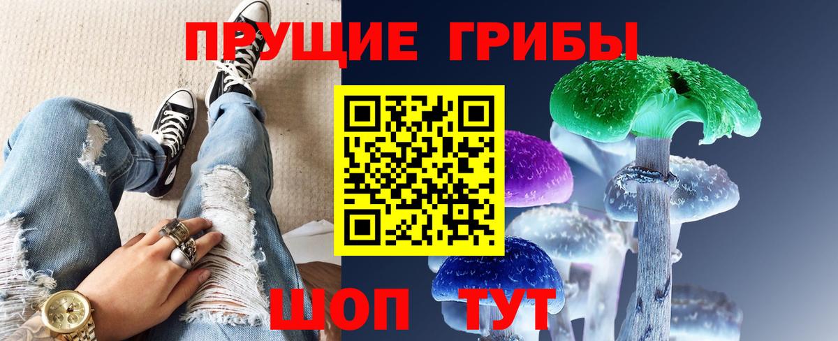 магазин продажи   Донской  Псилоцибиновые грибы MAGIC MUSHROOMS 