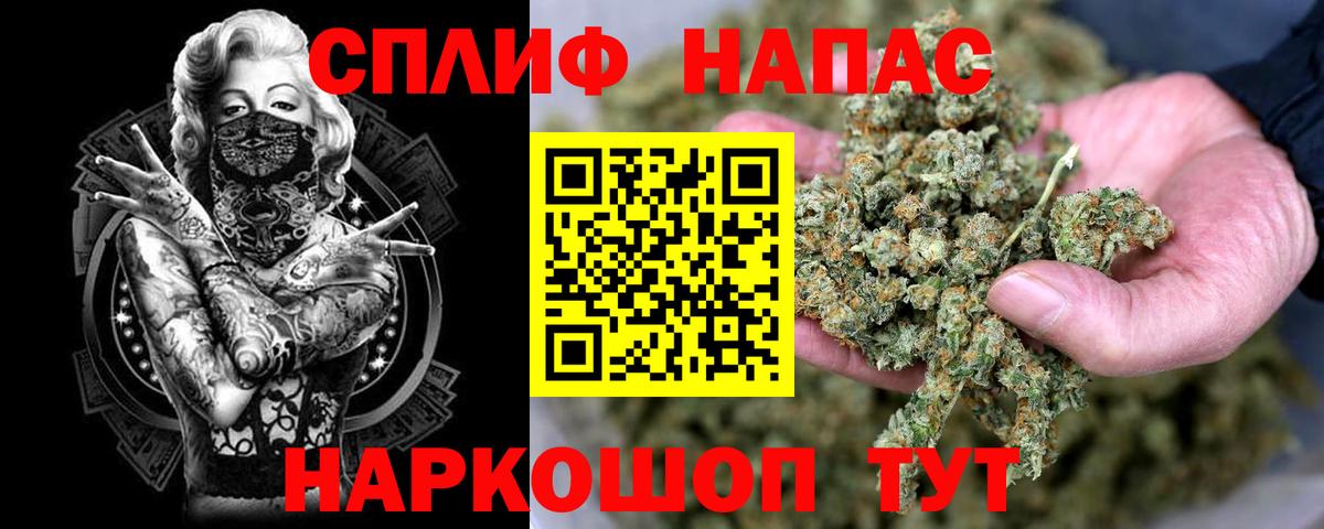 Бошки Шишки сатива Донской